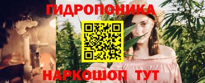 дмт Будённовск