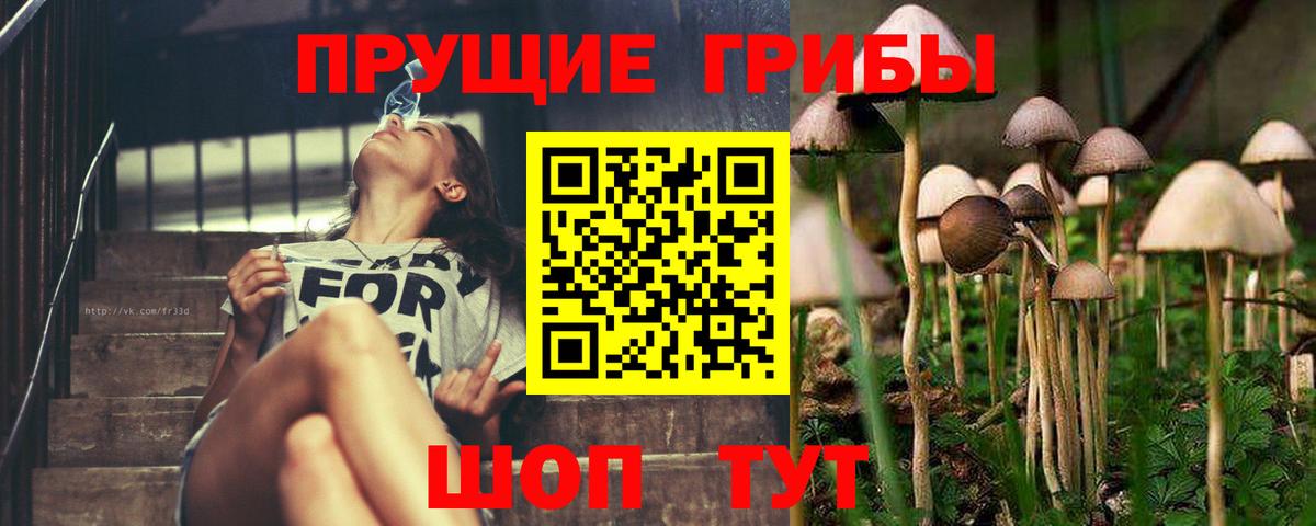 Лесной  Псилоцибиновые грибы ЛСД  Вход с VPN 